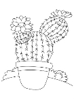 Розмальовка кактус у горщику